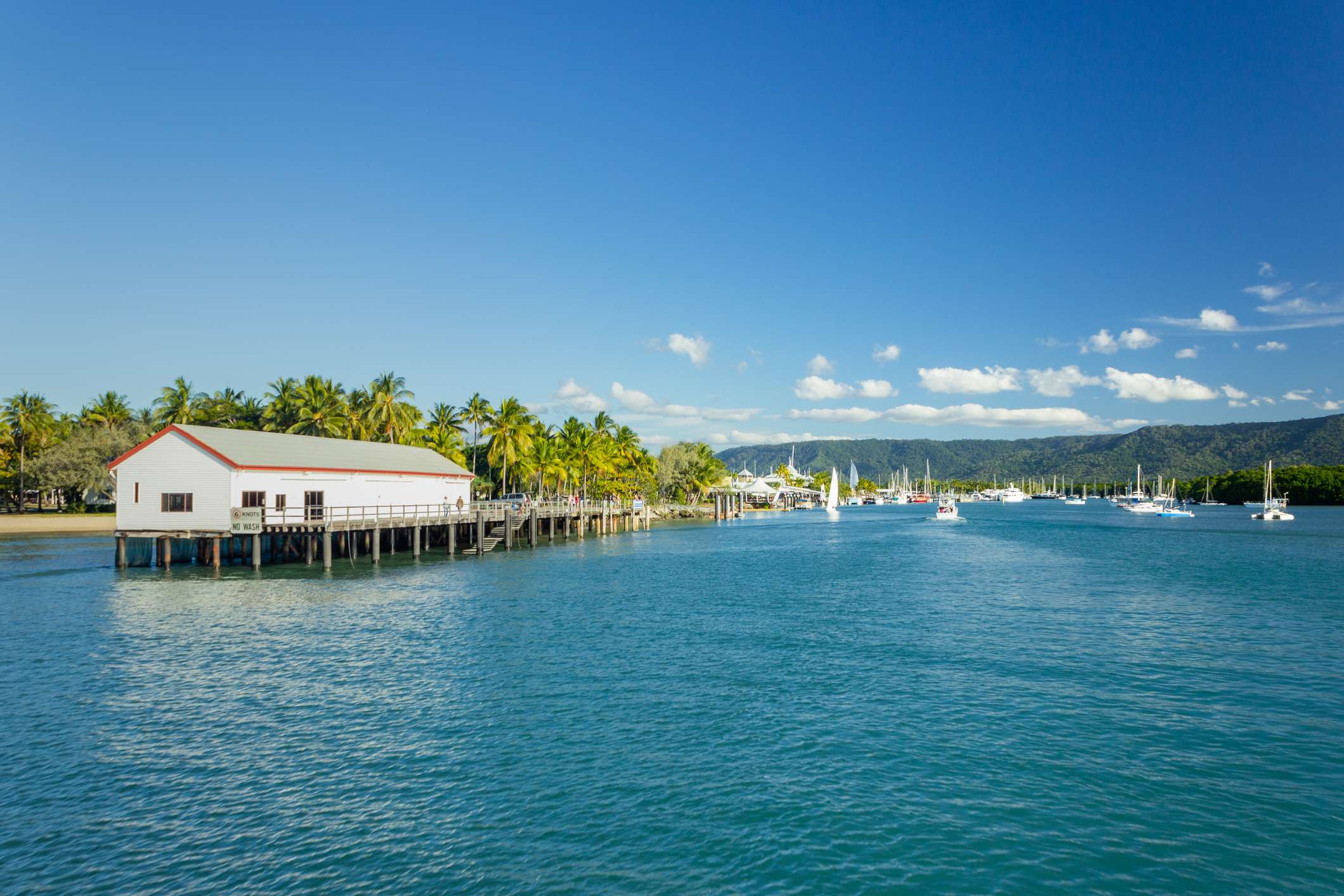 7 Amazing Things To Do In Port Douglas